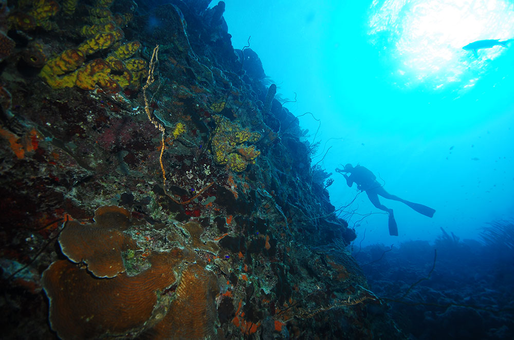 Mergulho em Bonaire: O Guia Completo dos Melhores Pontos da Ilha