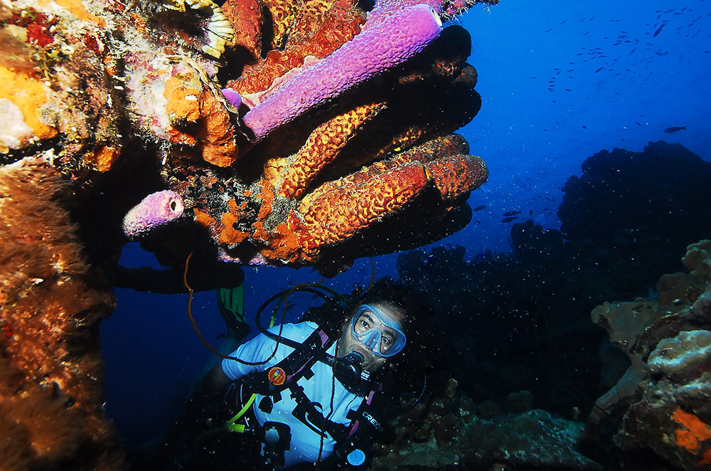 Mergulho em Bonaire: O Guia Completo dos Melhores Pontos da Ilha