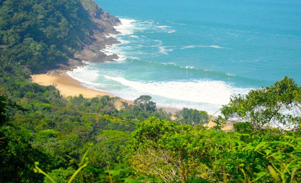 Praia Brava São Sebastião, SP: Dicas para chegar ao paraíso