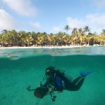 Conheça Bonaire: tudo sobre a ilha mais charmosa do Caribe