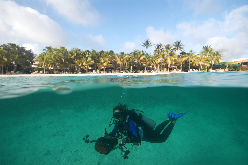 Conheça Bonaire: tudo sobre a ilha mais charmosa do Caribe