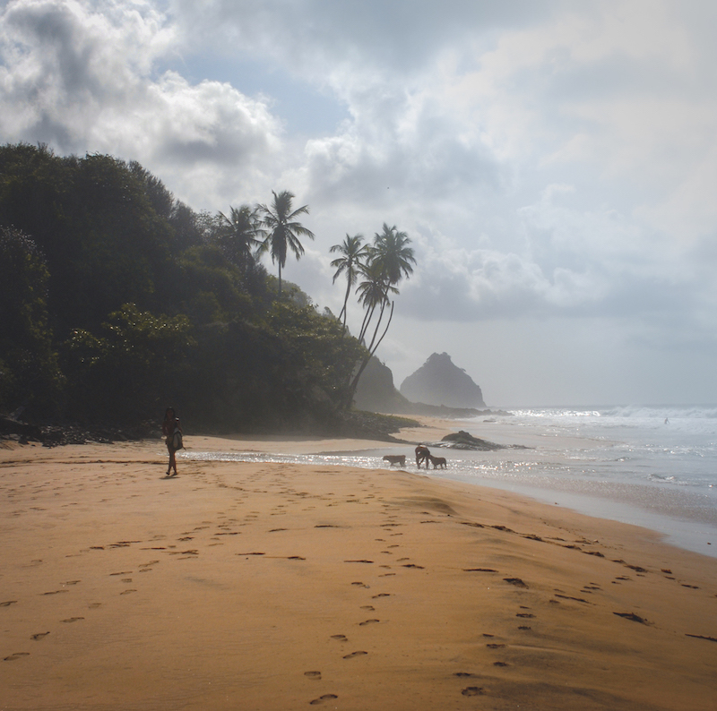 5 Pontos Turísticos imperdíveis em Noronha