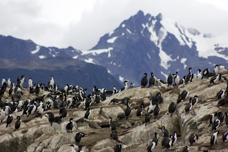 Ushuaia no Verão: 8 Dicas Para Aproveitar o Fim do Mundo