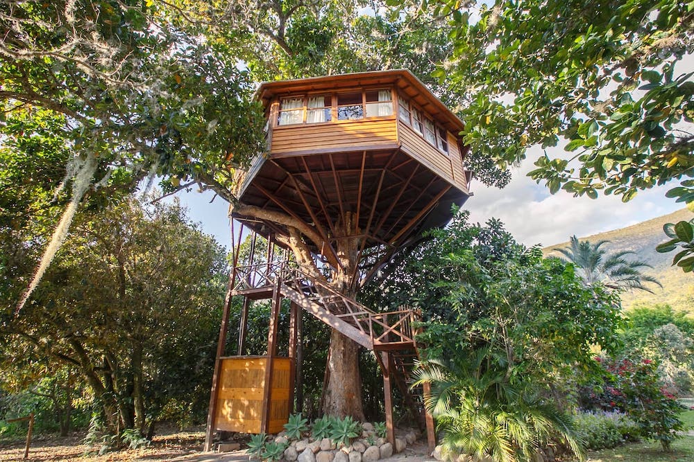 Casa na Árvore Airbnb - 13 Casas Incríveis pelo Brasil | Viva o Mundo