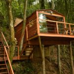 Conheça 10 Casas na Árvore Incríveis pelo Brasil para alugar no Airbnb