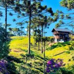 Melhores Airbnb Santa Catarina – 21 Casas Incríveis