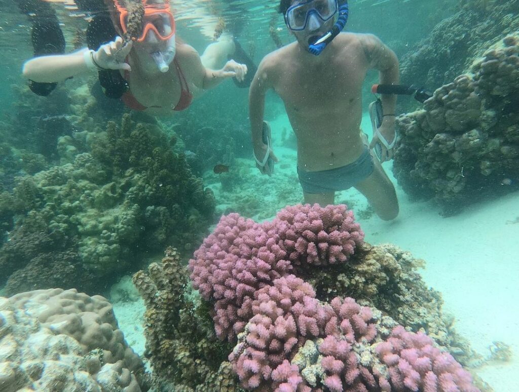Snorkeling em Bora Bora - Viva o Mundo