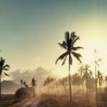 Chip Internacional Indonésia: tudo o que você precisa saber para se conectar no paraíso da Ásia!