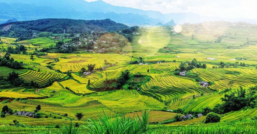 Chip Internacional Laos - Qual o melhor e Onde Comprar? | Viva o Mundo