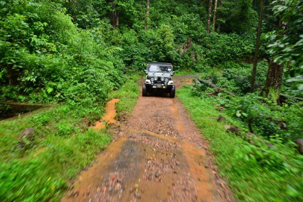 Passeio de Jeep pela Serra da Bocaina | Viva o Mundo