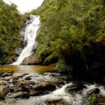 Cachoeiras e Alambiques – As melhores opções de passeios de jeep em Paraty