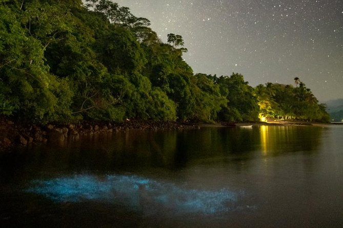 Tour de caiaque bioluminescente | Viva o Mundo