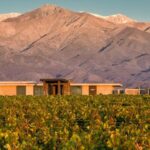 Hotéis em Mendoza para relaxar entre parreiras e vinhos