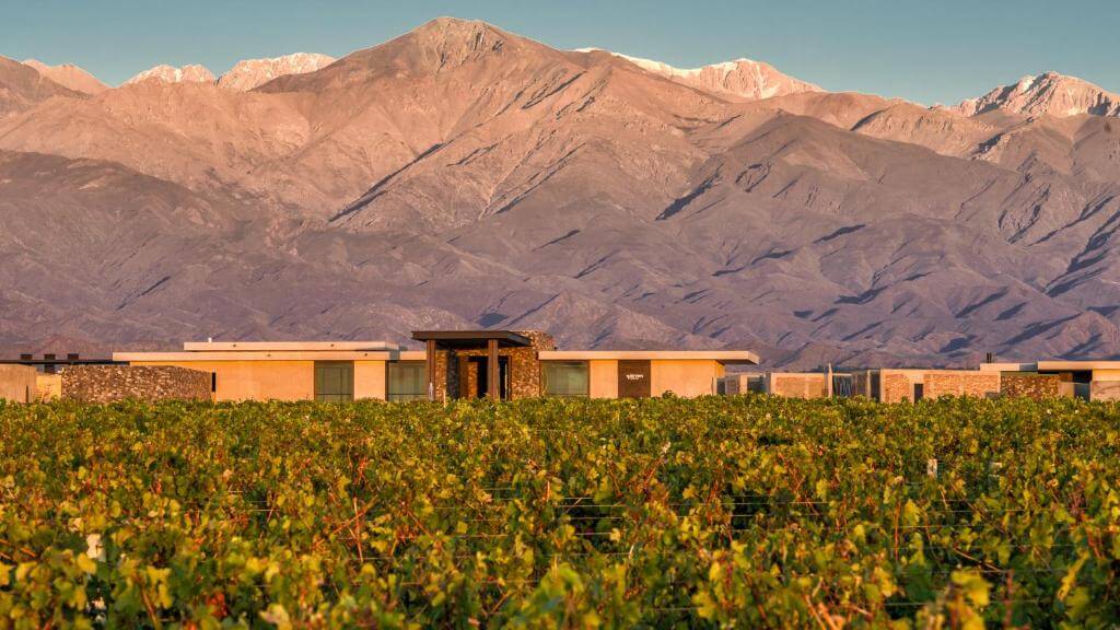 Hotéis em Mendoza para relaxar entre parreiras e vinhos