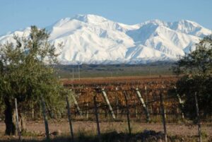 O que Fazer em Mendoza no Inverno - 7 Passeios e Tours | Viva o Mundo