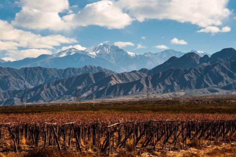 Mendoza: Excursão de 1 Dia Vinhos e Almoço de 3 Pratos | Viva o Mundo