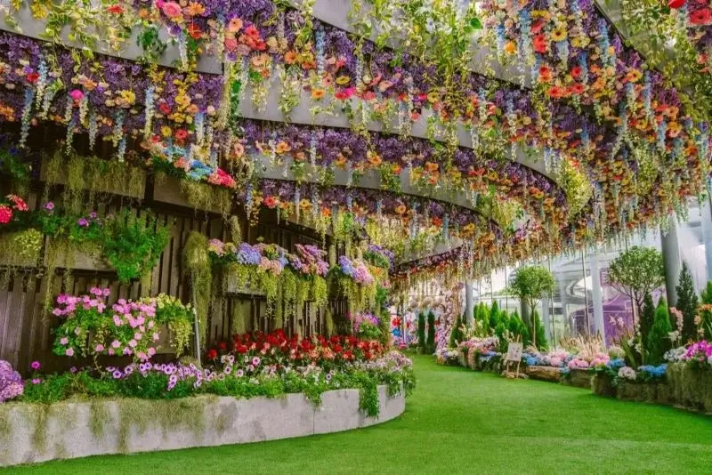 Flower Dome em Singapura | Viva o Mundo