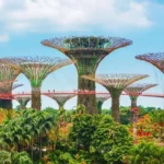 Gardens by the Bay – Tudo sobre a atração mais popular de Singapura