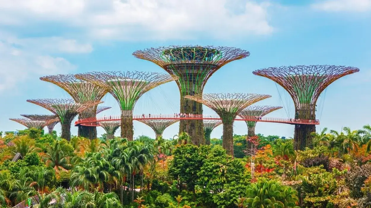 Gardens by the Bay – Tudo sobre a atração mais popular de Singapura