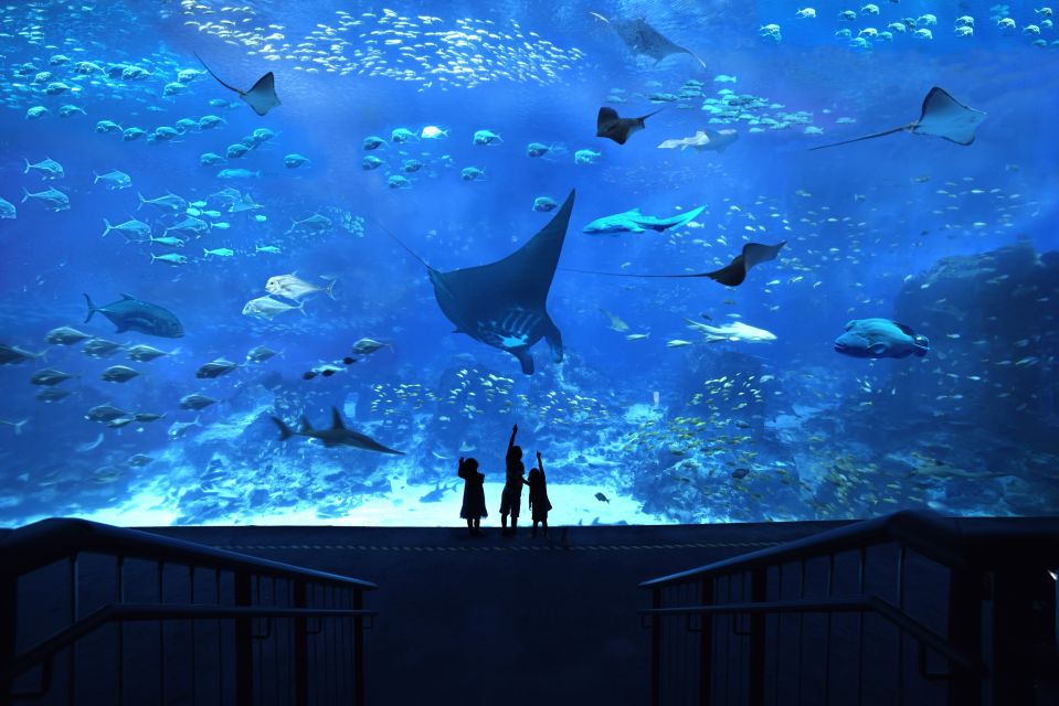 Pontos Turísticos e Atrações Singapura | Viva o Mundo - Ingresso SEA Aquarium Singapura | Viva o Mundo