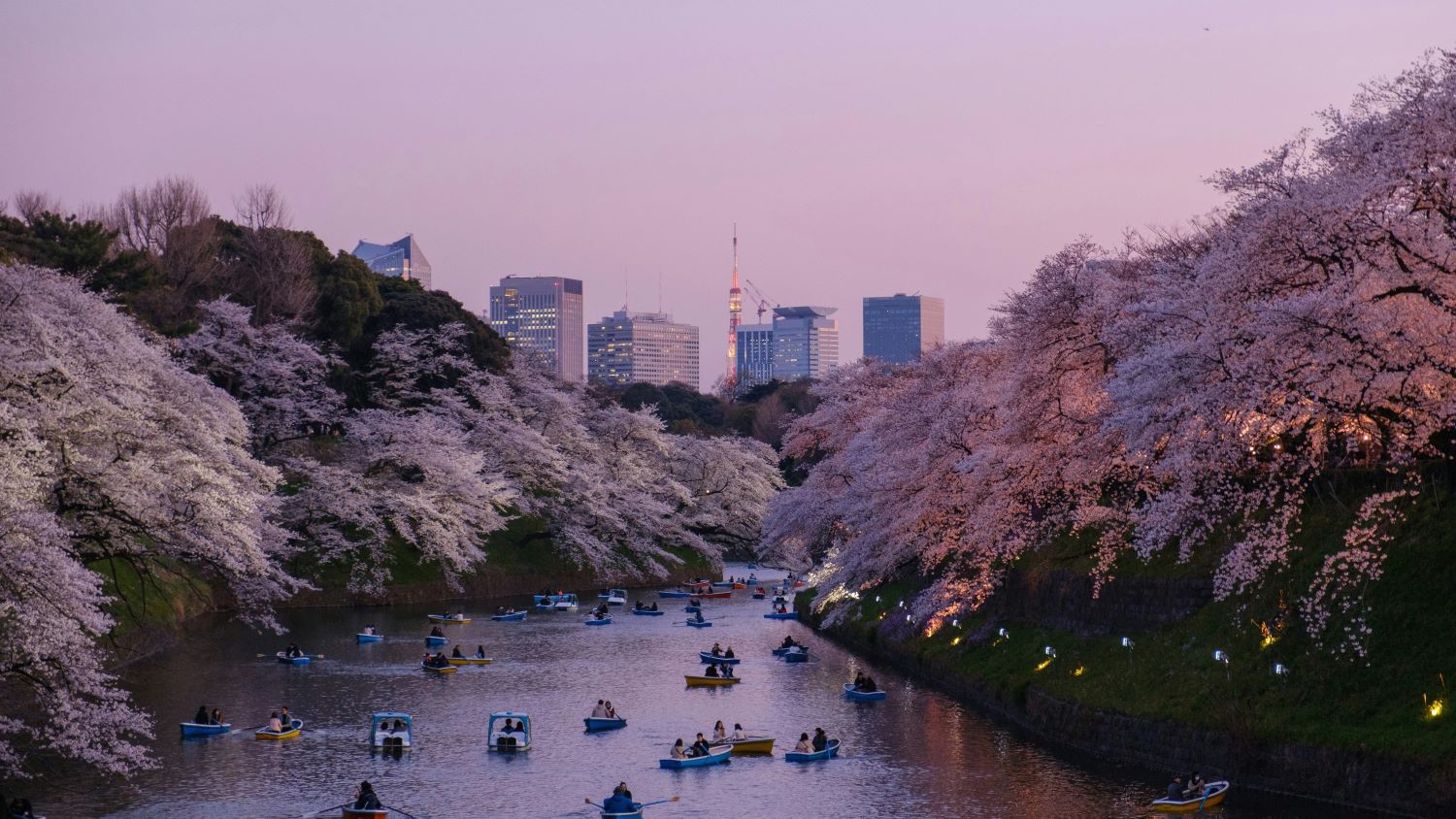 Roteiro Tokyo – O que fazer na cidade de 1 a 7 dias