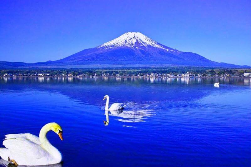 Lago Yamanaka, excursão de um dia a Onsen | Viva o Mundo