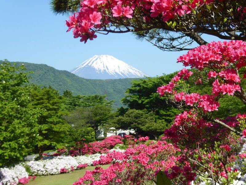 Passeio Monte Fuji | Viva o Mundo
