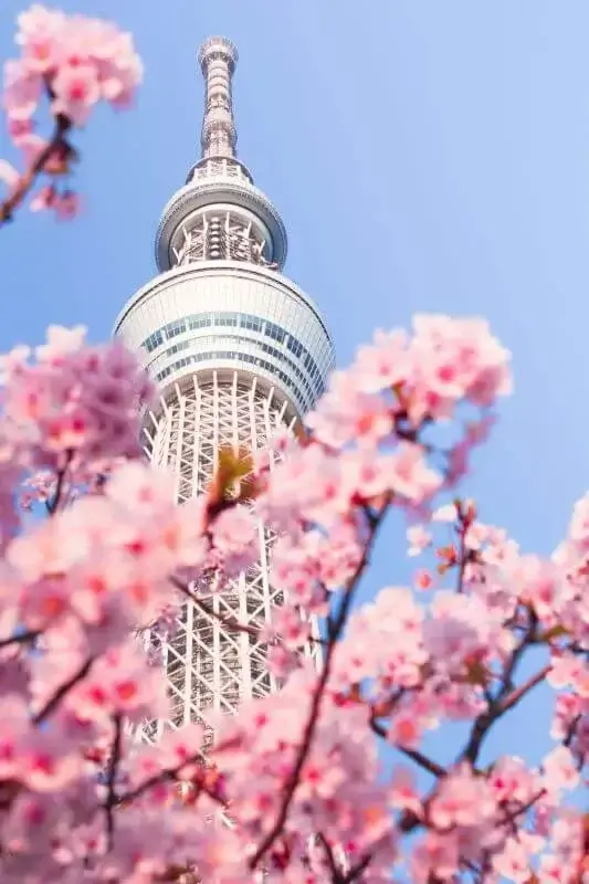 Tokyo Skytree | Viva o Mundo
