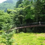 Explore a Pitoresca Hakone – 11 Passeios que Você Não Pode Perder