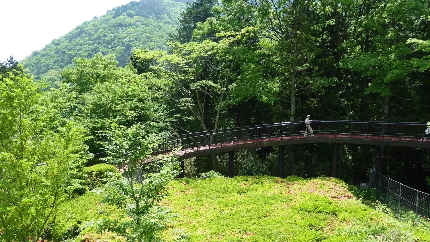 Explore a Pitoresca Hakone – 11 Passeios que Você Não Pode Perder