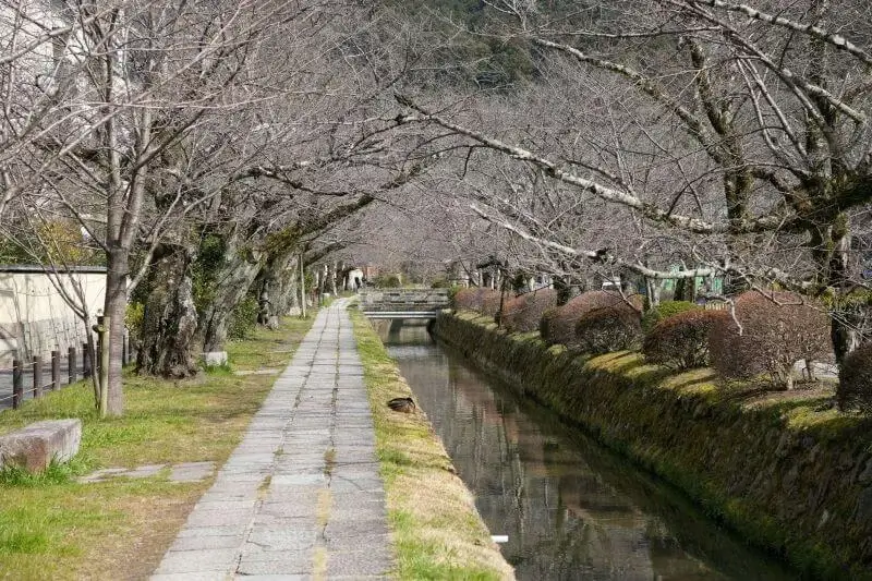 O que fazer em Kyoto - Melhores atrações | Viva o Mundo