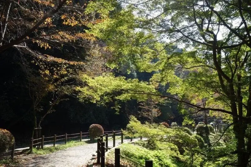O que fazer em Kyoto | Viva o Mundo