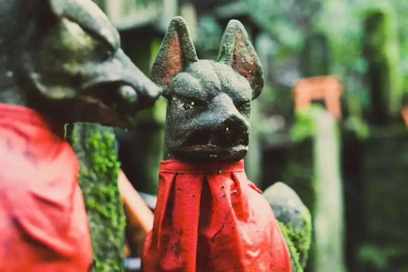 Raposas no templo mais famoso de Kyoto | Viva o Mundo
