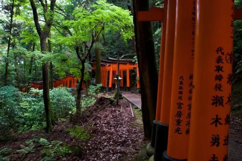 Santuário Fushimi Inari | Viva o Mundo
