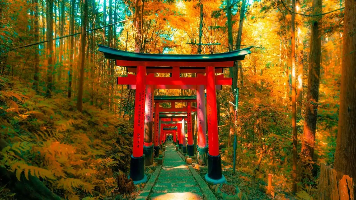 Guia Completo do Santuário Fushimi Inari – História, Arquitetura e Simbolismo