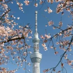 Tokyo Skytree vale a pena? O que fazer e como chegar lá?