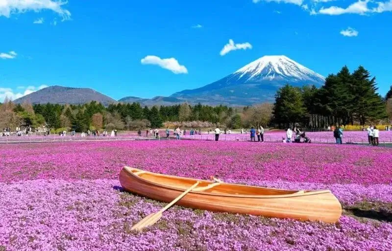 Viagem de 1 dia para a área do Monte Fuji, Oshino Hakkai e Lago Kawaguchi | Viva o Mundo