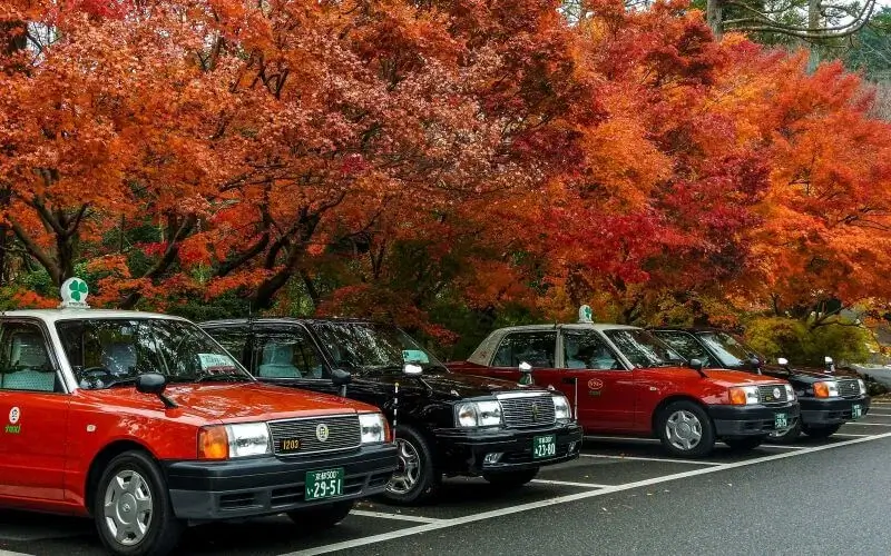 Formas de transporte em Quioto | Viva o Mundo