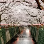 Chip internacional Tokyo – Descubra as melhores opções e economize na sua viagem