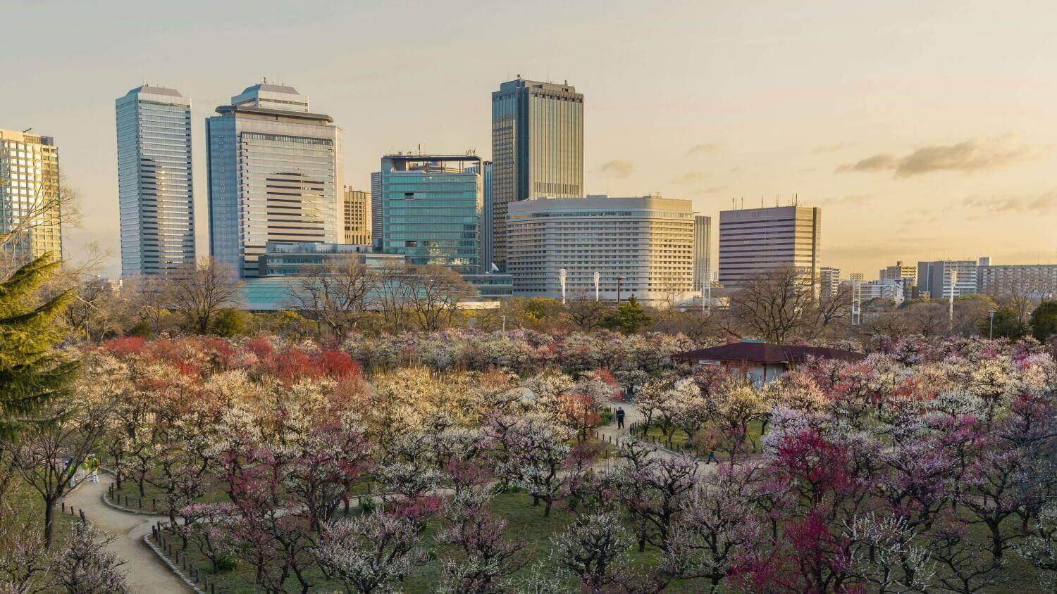 Onde Ficar em Osaka – Um Guia pelos Melhores Bairros e Hotéis da Cidade