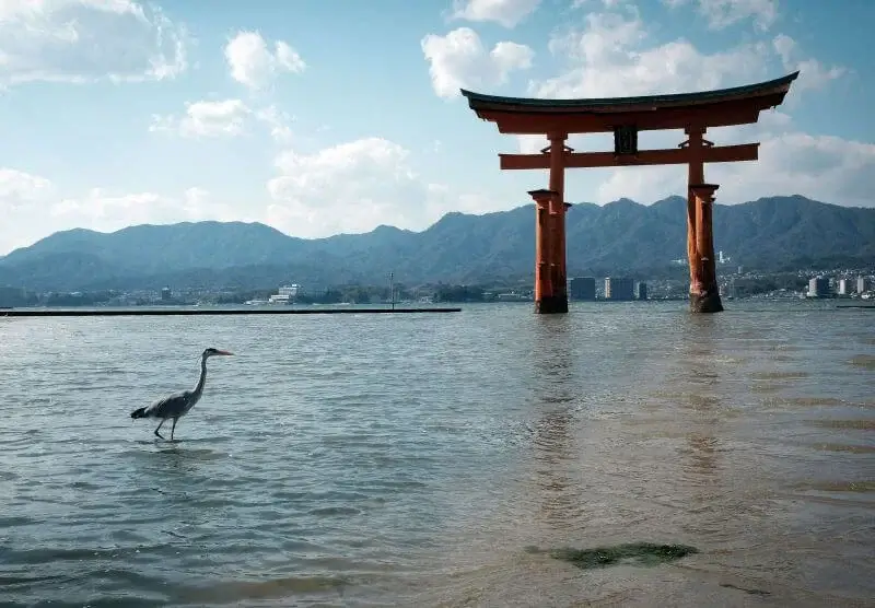 Roteiro Hiroshima | Viva o Mundo