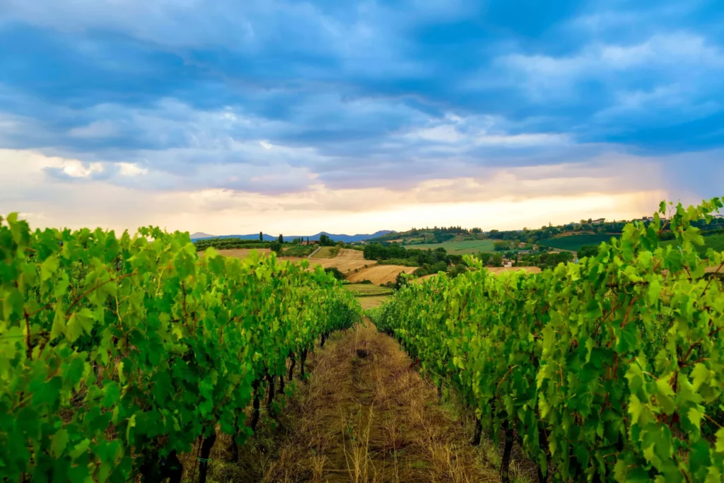 Roteiro Toscana | Viva o Mundo