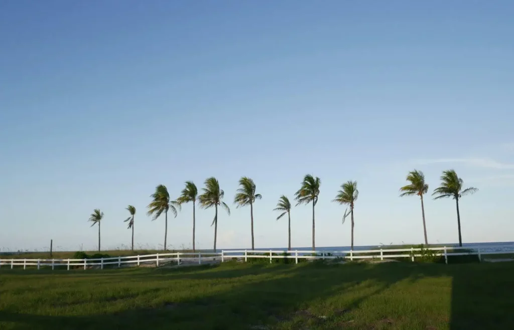 Aluguel de carro em Fort Lauderdale | Viva o Mundo
