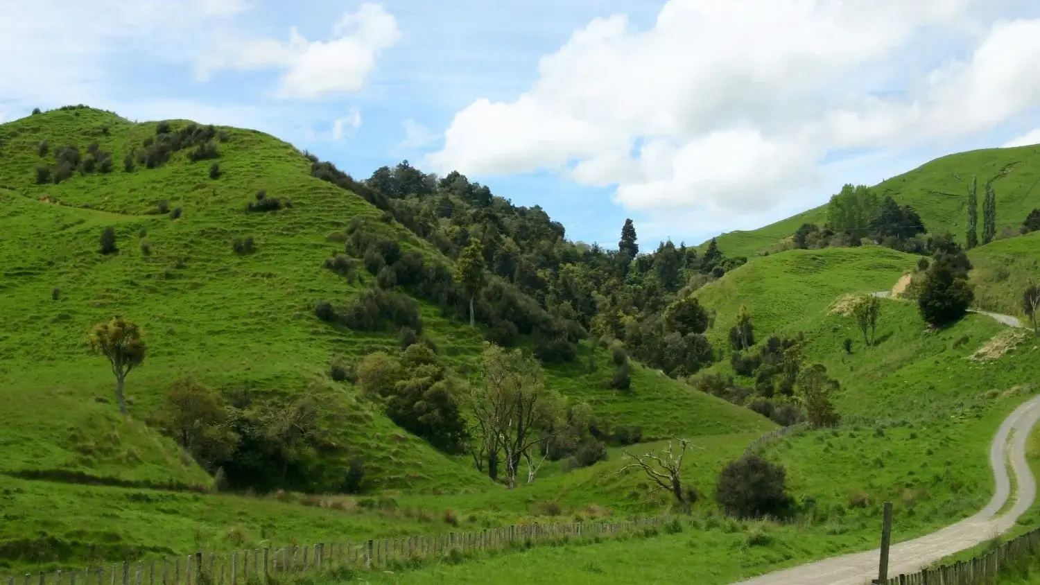 Aluguel de carro na Nova Zelândia – As melhores formas de fazer em segurança na Oceania