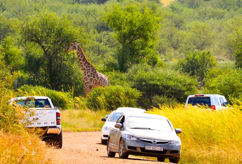 Aluguel e como alugar carro nas melhores locadoras da África do Sul