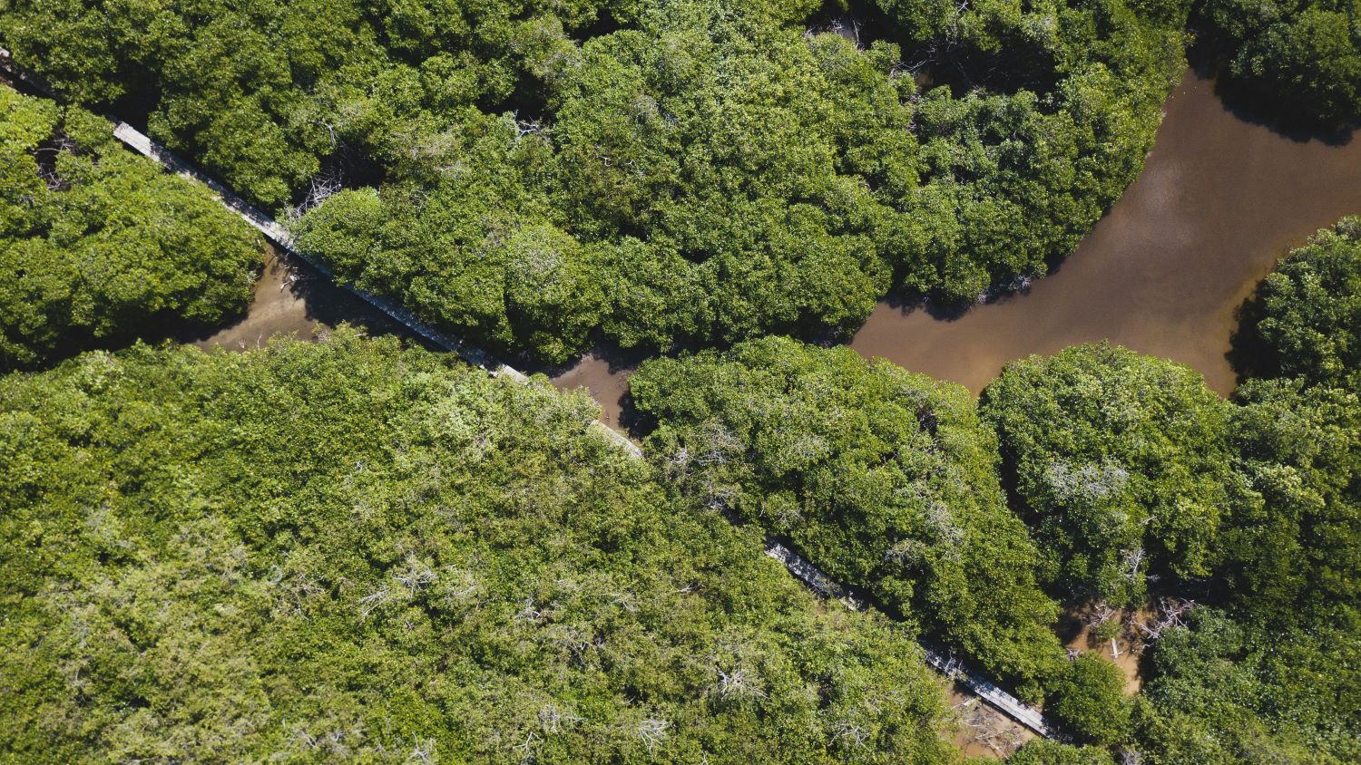 Aluguel de carro na Costa Rica – Melhores locadoras, documentação e dicas