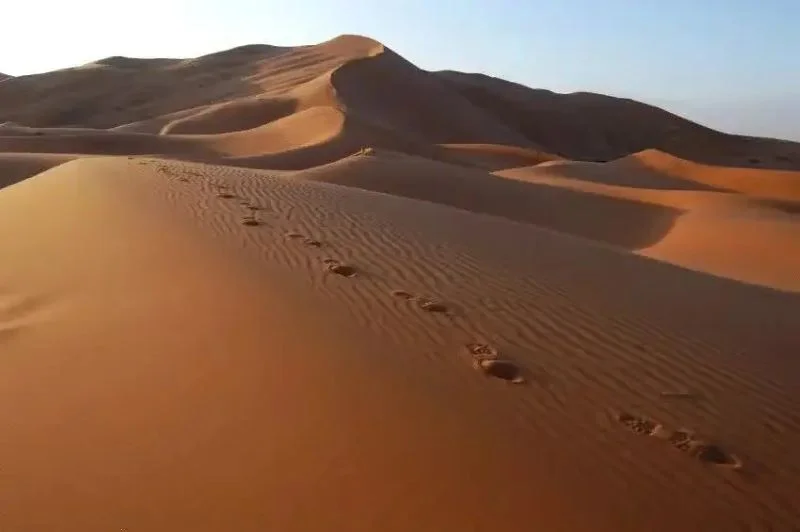 Excursão de 2 dias ao deserto de Merzouga | Viva o Mundo