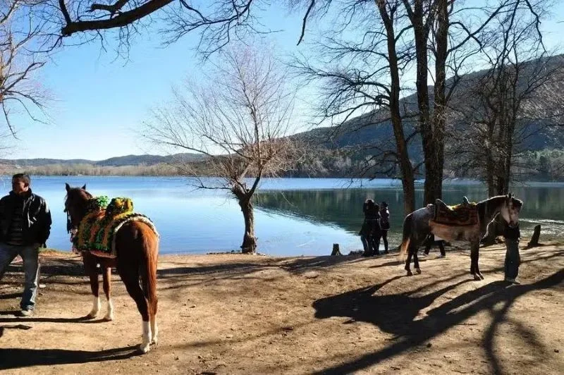 Excursão privada a Sefrou, Bhalil, Ifrane e Azrou | Viva o Mundo