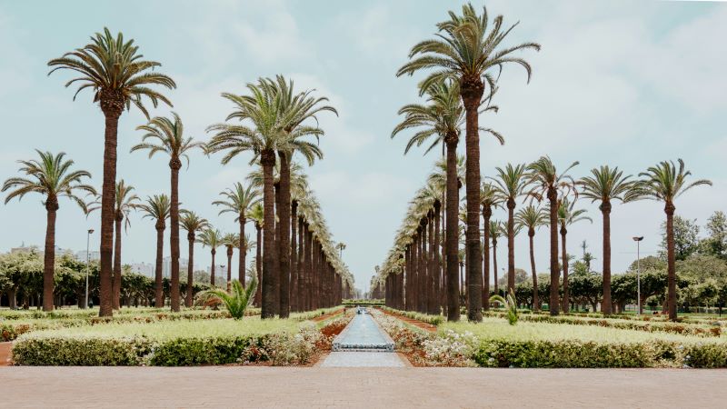 Onde ficar em Casablanca | Viva o Mundo