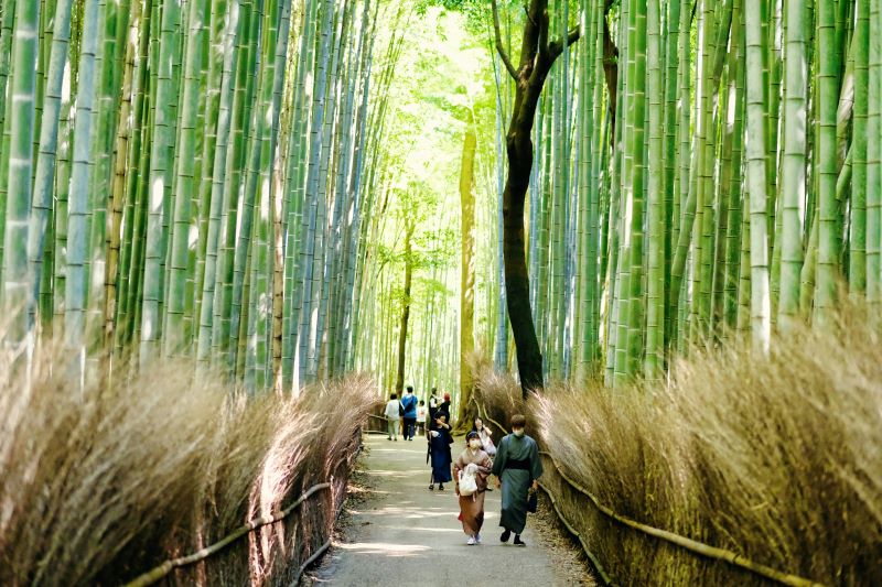 O que fazer em Kyoto no inverno